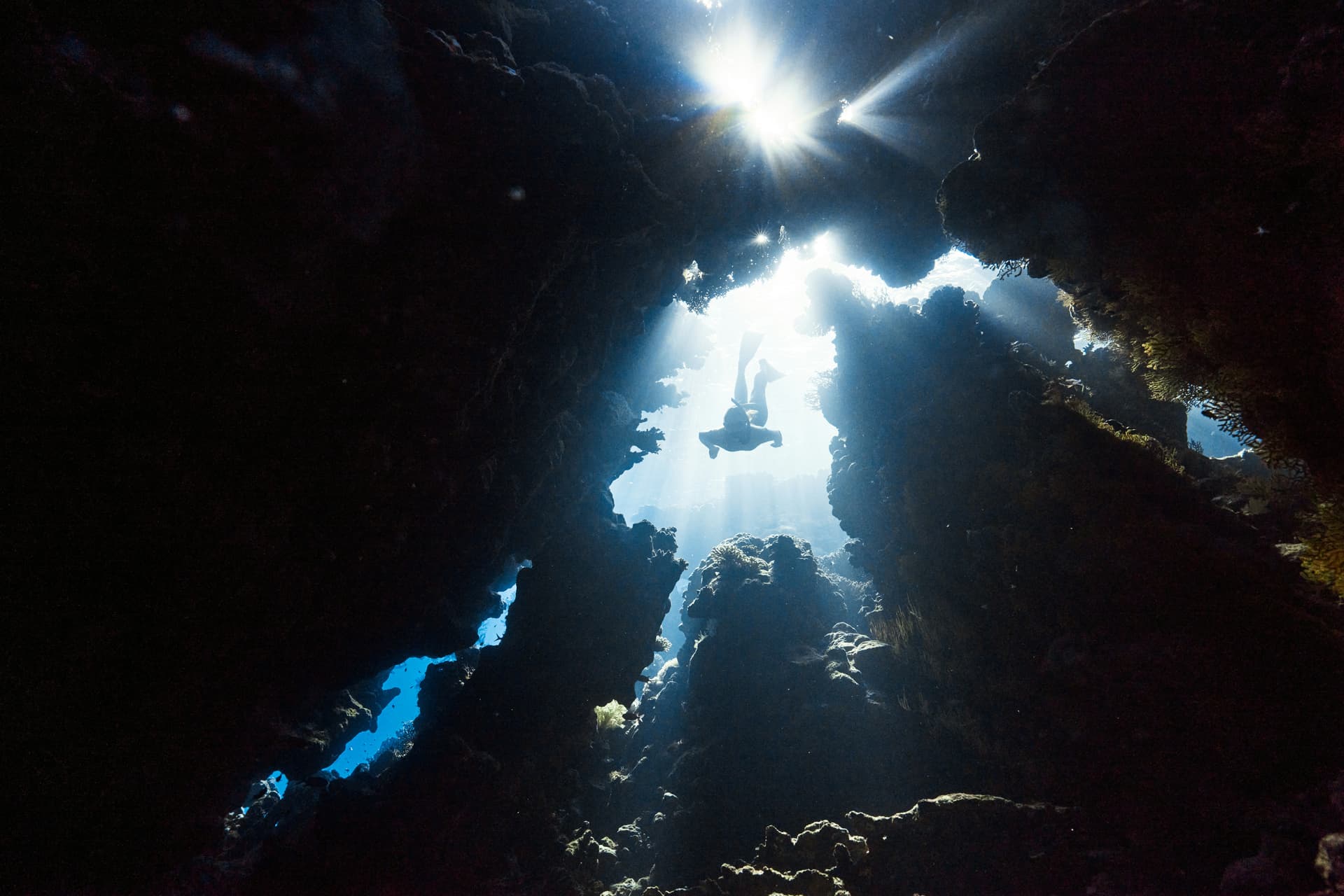 Scuba diver exploring a vibrant coral reef with colorful fish